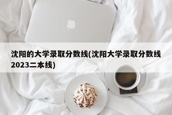 沈阳的大学录取分数线(沈阳大学录取分数线2023二本线)