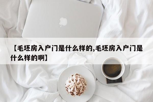 【毛坯房入户门是什么样的,毛坯房入户门是什么样的啊】