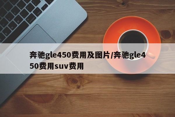 奔驰gle450费用及图片/奔驰gle450费用suv费用